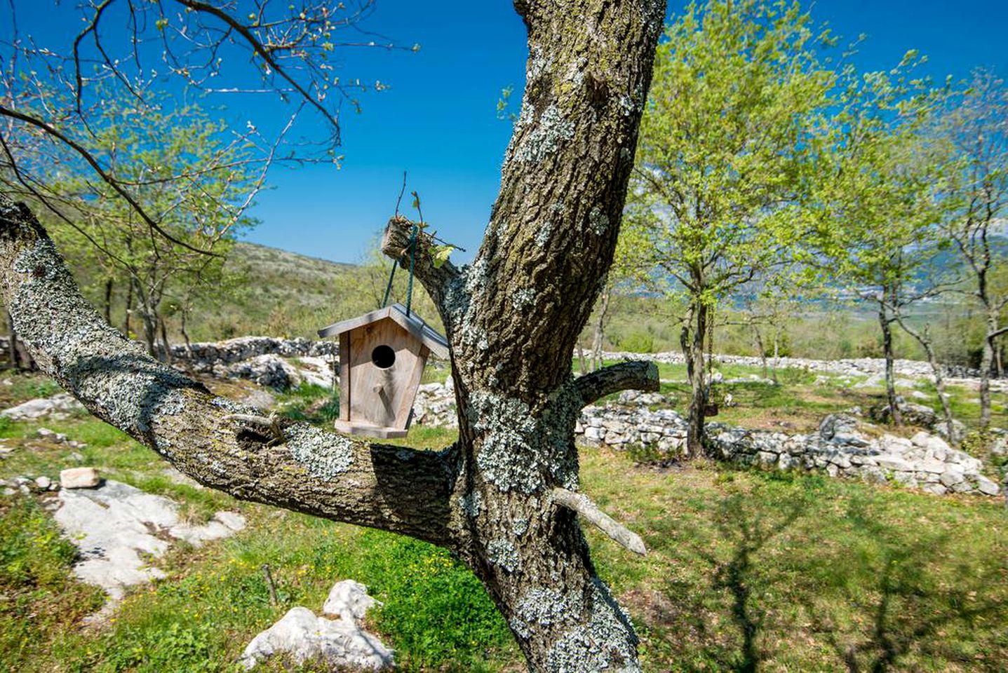 Eco-Friendly Tiny House with Views of the Adriatic Sea on Boka Bay, Montenegro