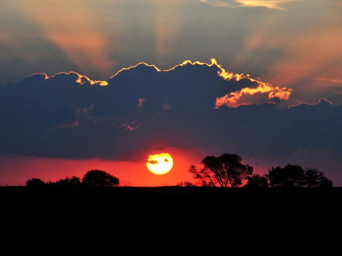 Huts (Phalaborwa, Limpopo, South Africa)
