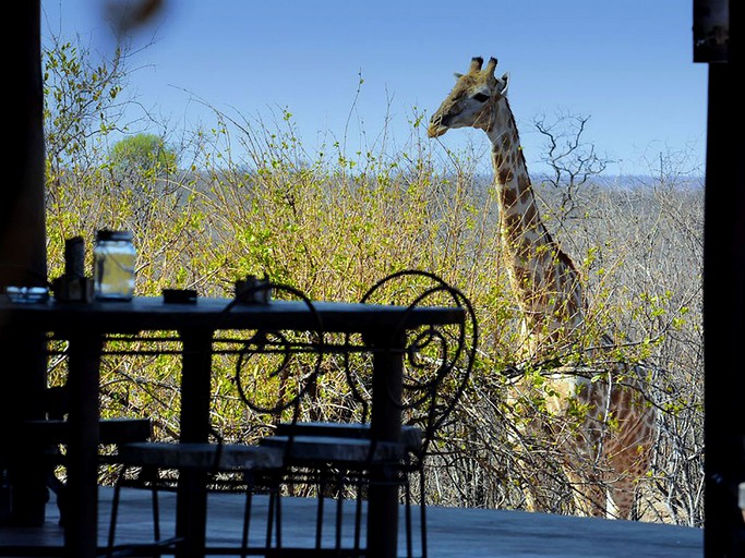 Huts (Phalaborwa, Limpopo, South Africa)
