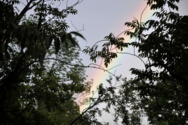 Cabins (St. Johnsville, New York, United States)