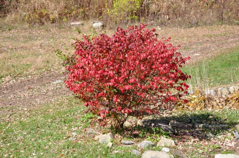 Cabins (St. Johnsville, New York, United States)