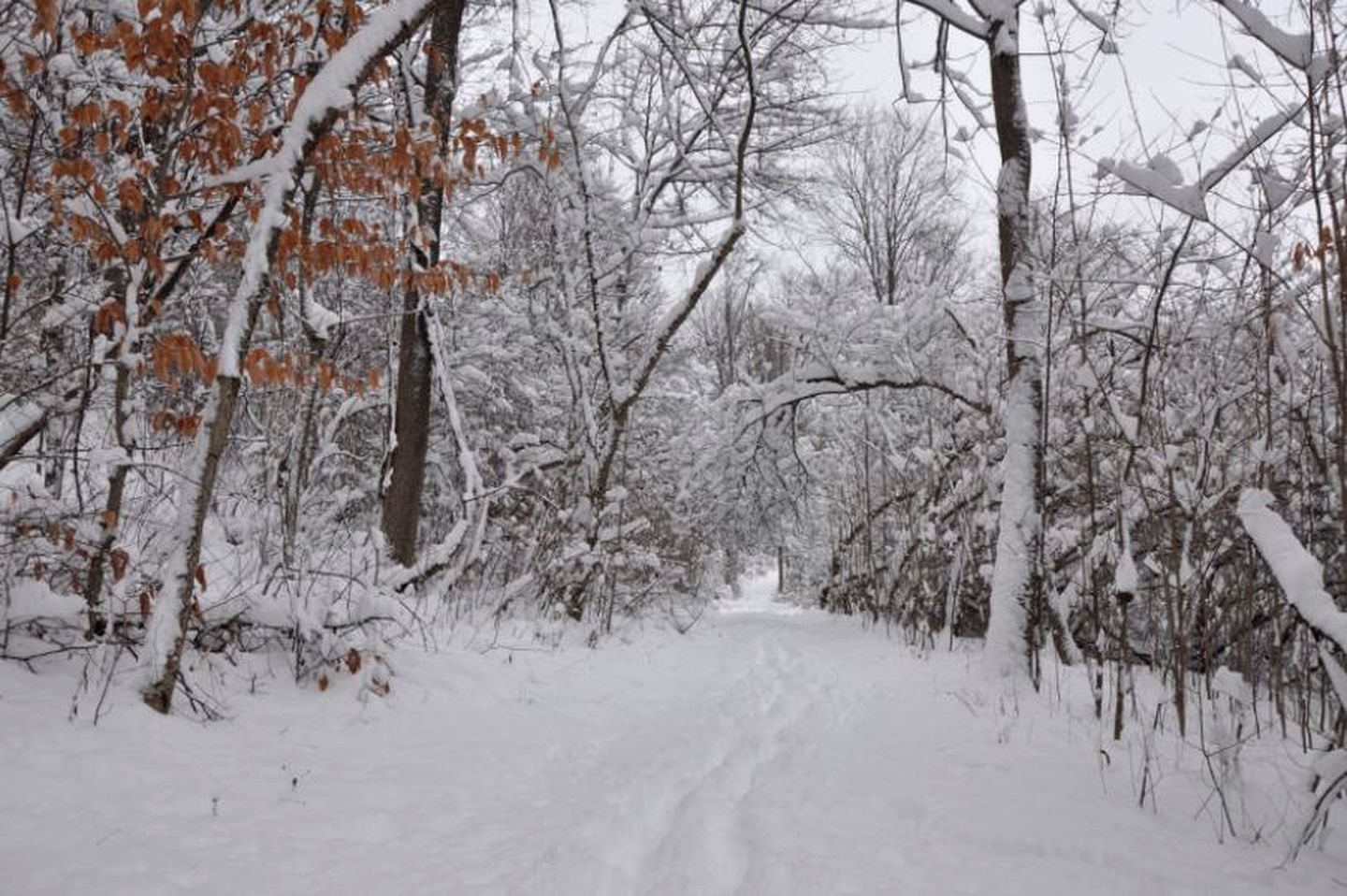 Gorgeous Wheelchair-Accessible Bed and Breakfast in St. Johnsville, New York