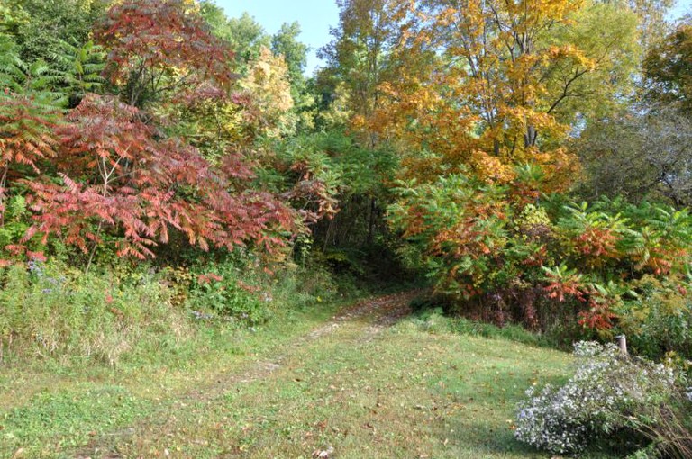Nature Lodges (St. Johnsville, New York, United States)