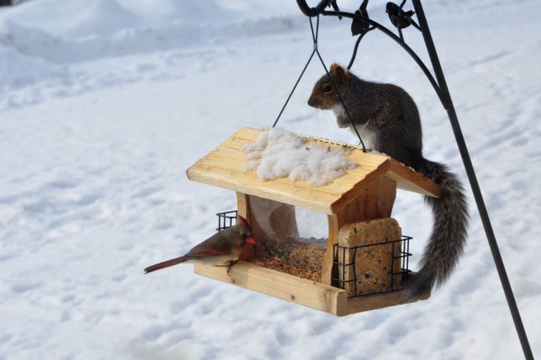 Nature Lodges (St. Johnsville, New York, United States)