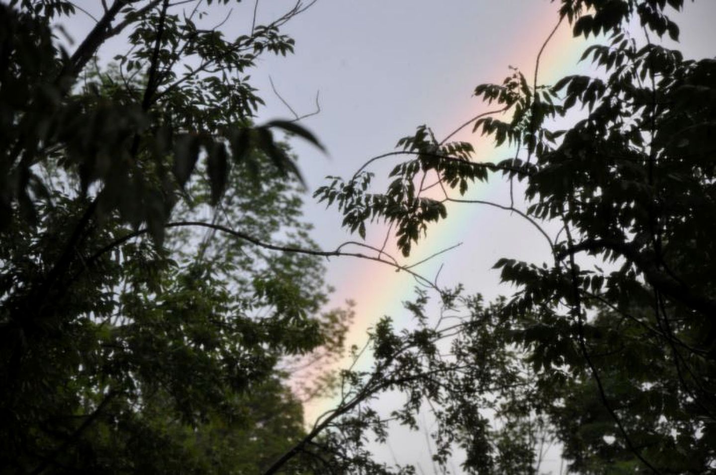 Secluded Bed and Breakfast Retreat with Beautiful Natural Surroundings near Great Sacandaga Lake, New York