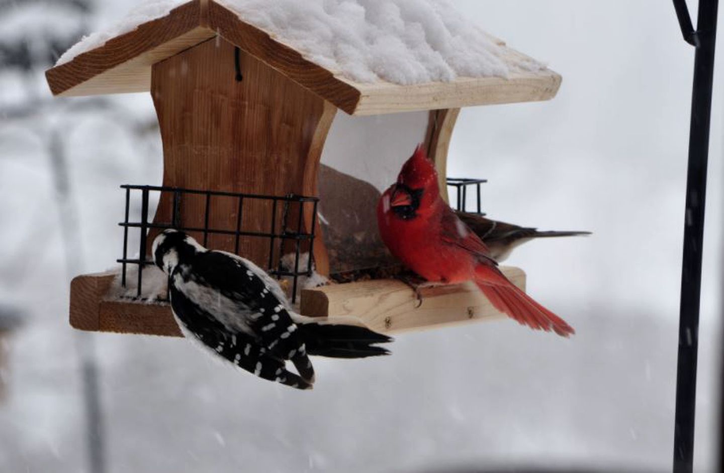 Secluded Bed and Breakfast Retreat with Beautiful Natural Surroundings near Great Sacandaga Lake, New York