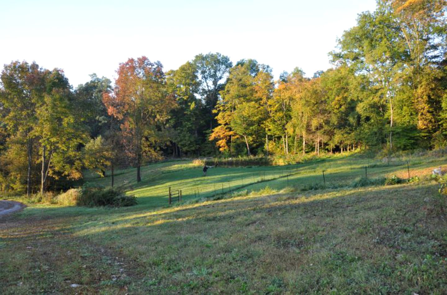 Secluded Bed and Breakfast Retreat with Beautiful Natural Surroundings near Great Sacandaga Lake, New York