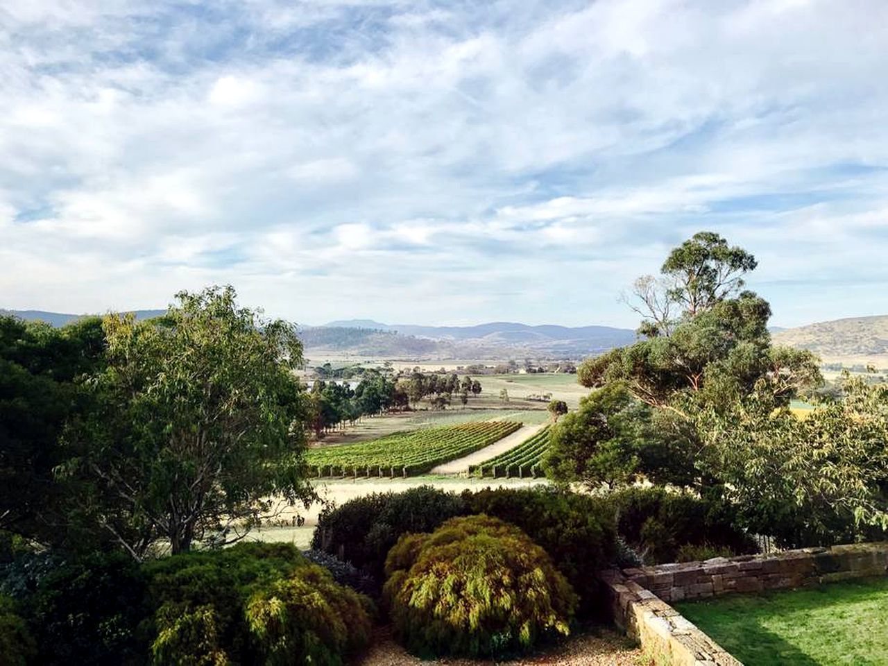 Secluded Holiday Rental Overlooking a Vineyard in Richmond, Tasmania