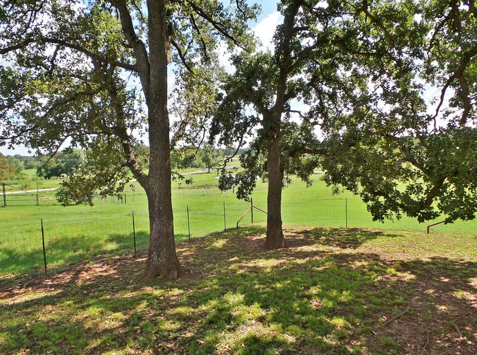 Cabins (United States of America, Bryan, Texas)