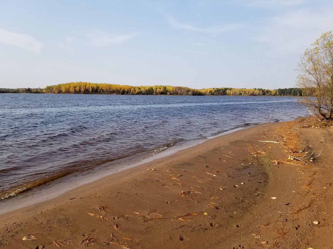 Log Cabin Elegance: Your Private Haven on 5 Acres of Hazelhurst Waterfront