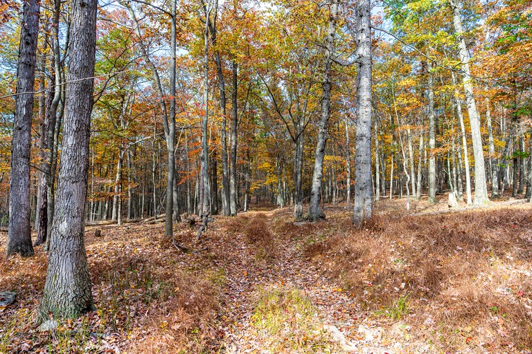 Cabins (United States of America, Great Cacapon, West Virginia)