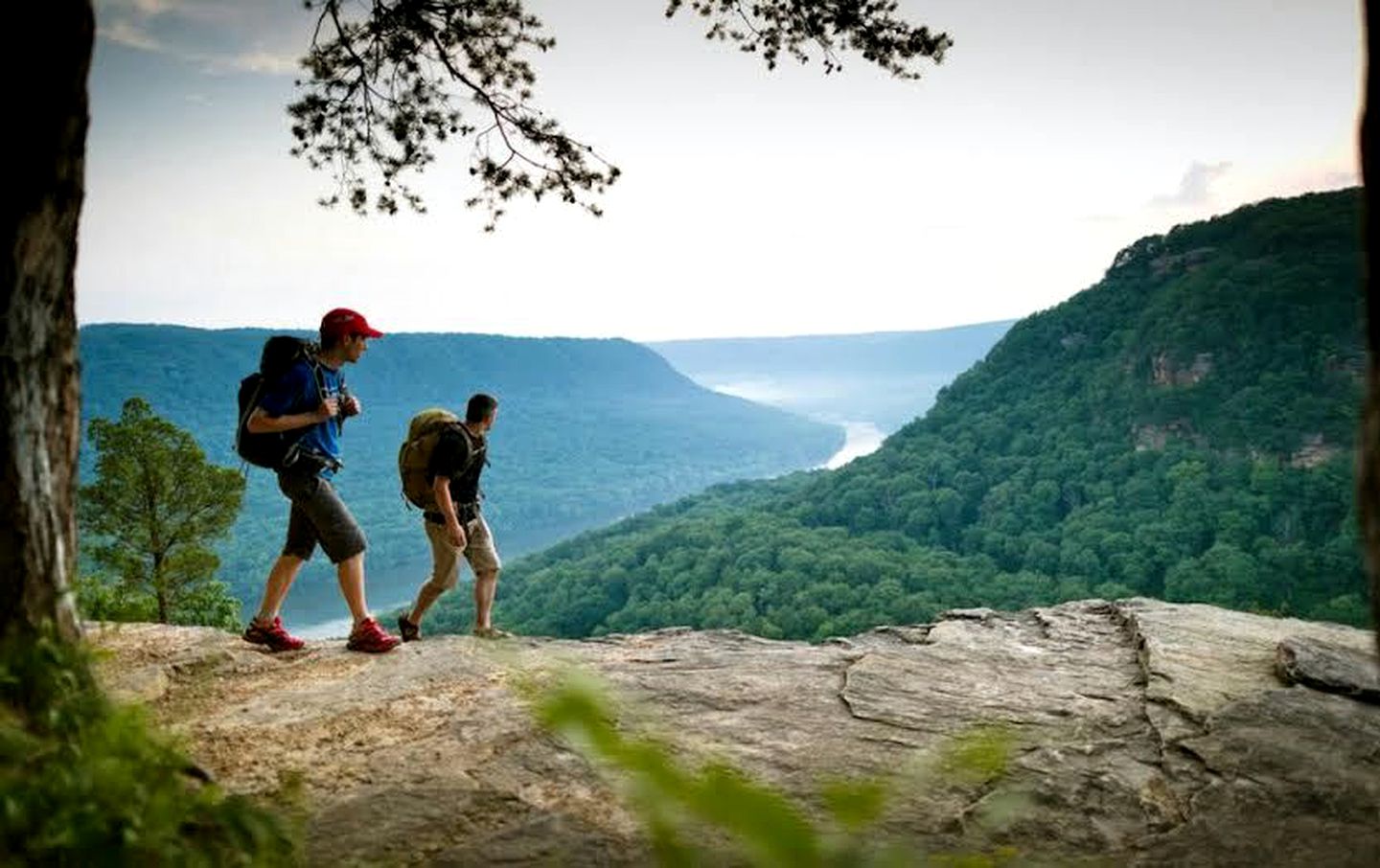 Log Cabin in the Clouds with Spectacular Views in Northern Chattanooga, Tennessee