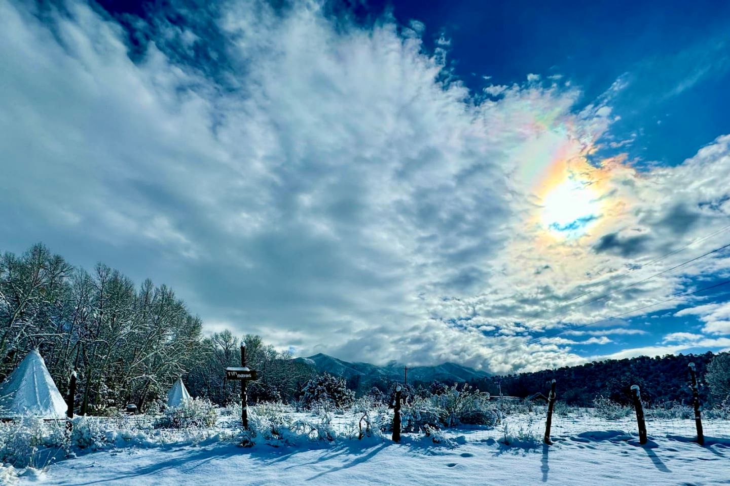 Charming Log Cabin Rental on Eco-Farm near Taos Ski Valley