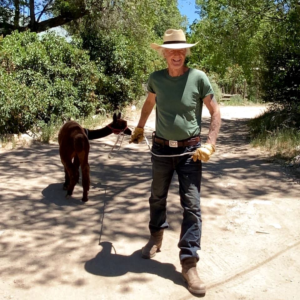 Charming Log Cabin Rental on Eco-Farm near Taos Ski Valley