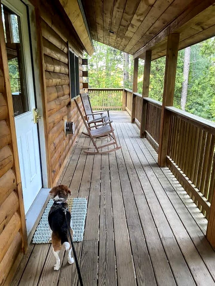 Beautiful Log Cabin Surrounded by Trees by Saltwater Tidal Cove for a Peaceful Getaway in Sullivan, Maine
