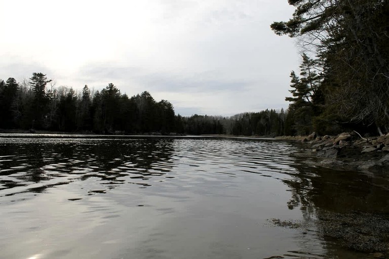 Log Cabins (United States of America, Sullivan, Maine)