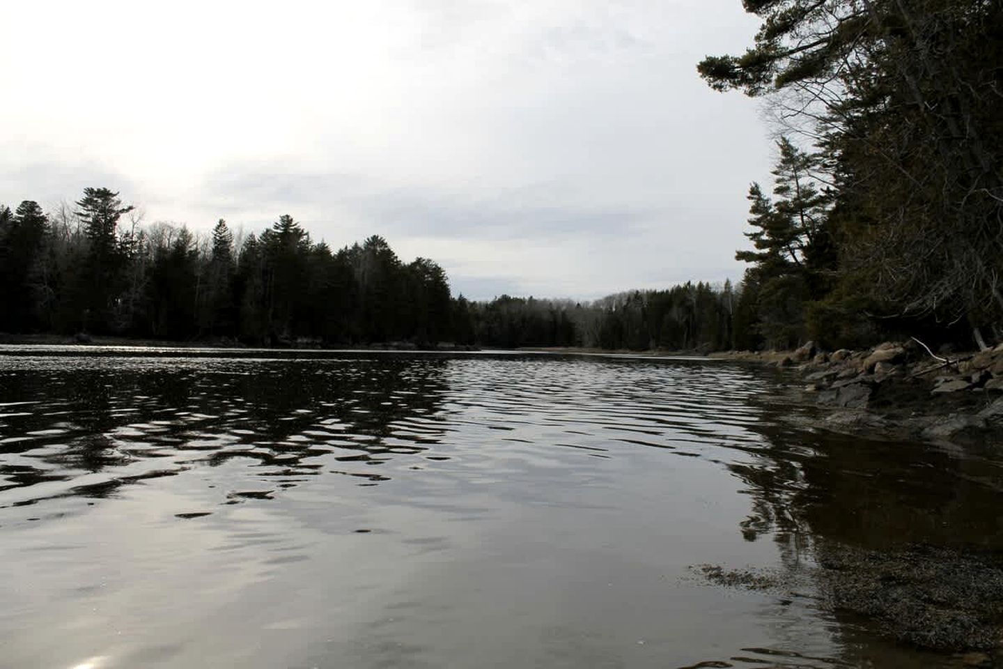 Beautiful Log Cabin Surrounded by Trees by Saltwater Tidal Cove for a Peaceful Getaway in Sullivan, Maine