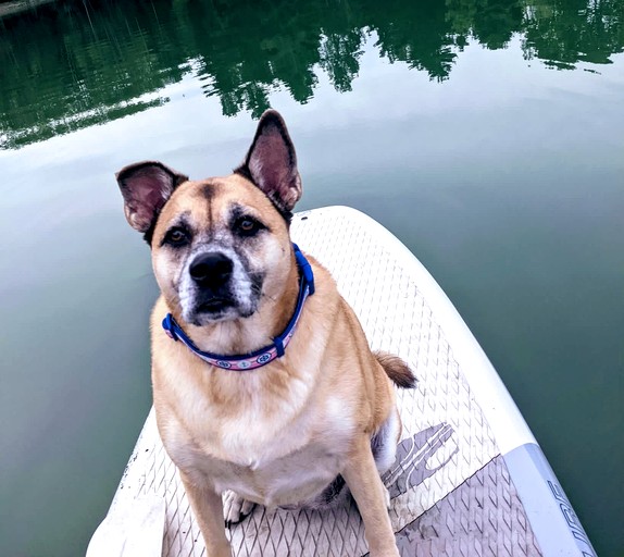 Log Cabins (United States of America, Sullivan, Maine)
