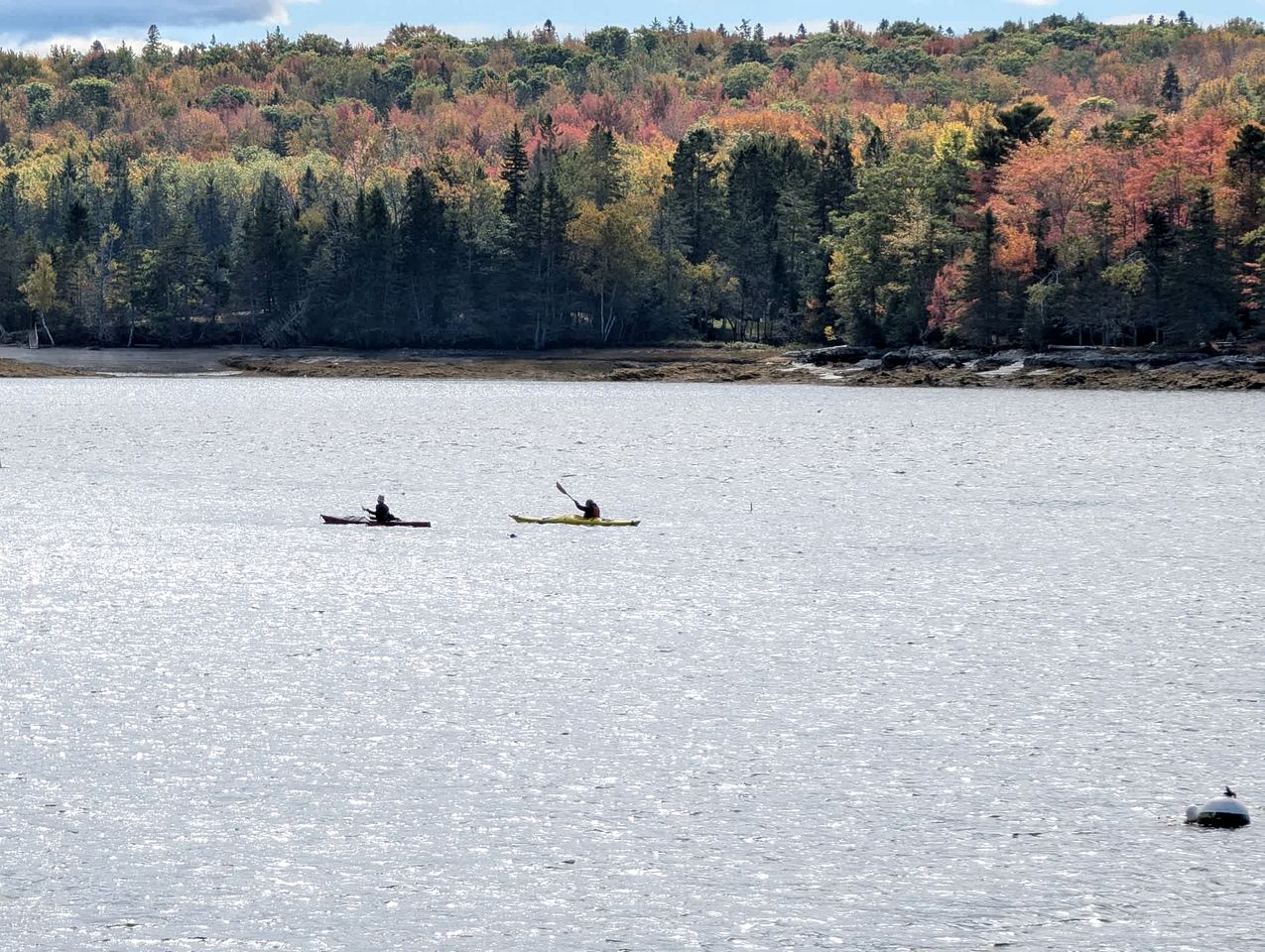 Beautiful Log Cabin Surrounded by Trees by Saltwater Tidal Cove for a Peaceful Getaway in Sullivan, Maine
