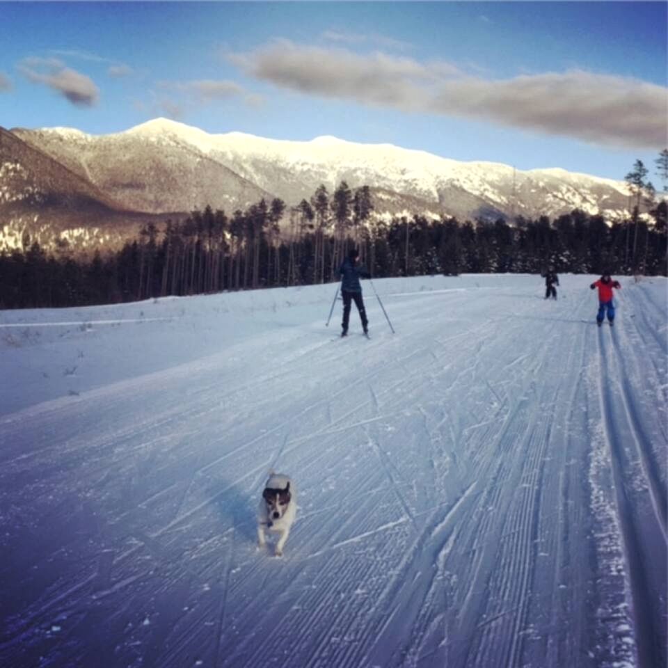 Amazing Log Cabin Rental with Pool Table in the Mountains in West Glacier, Montana