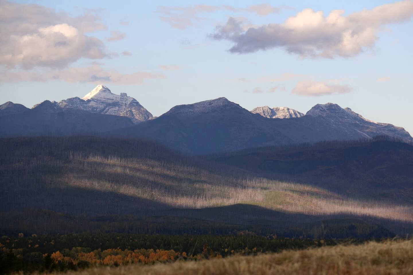 Amazing Log Cabin Rental with Pool Table in the Mountains in West Glacier, Montana