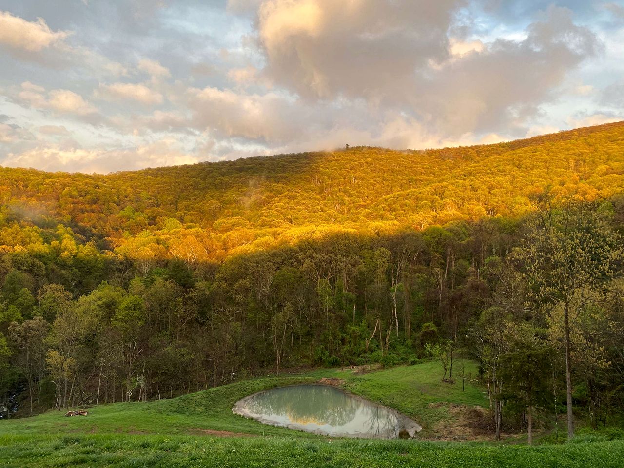 Peaceful Log Cabin on Private Acres with Creek & Pond in Rileyville, Virginia
