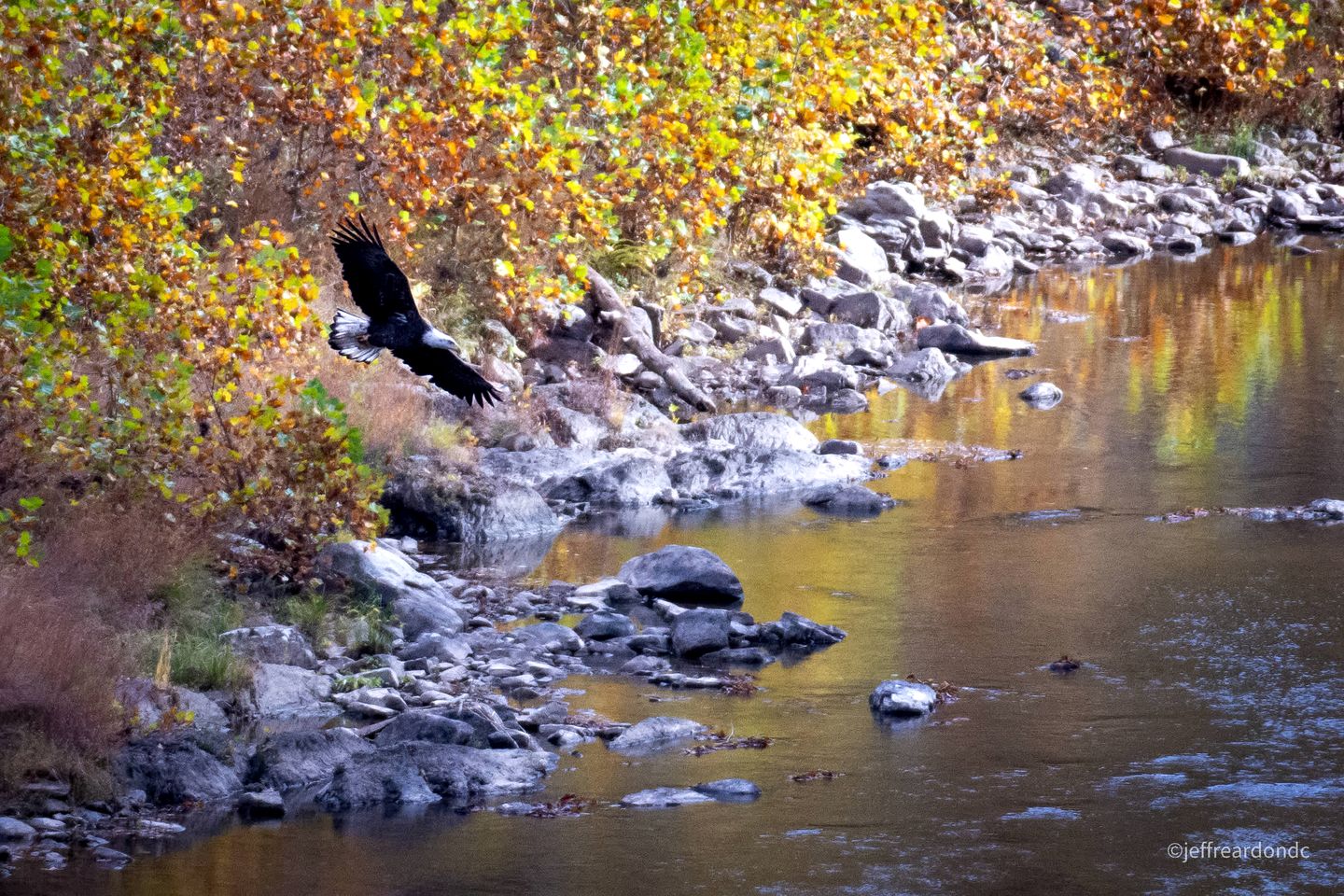 Secluded, Solar Powered Log Cabin on the Great Cacapon River, Perfect for Large Group Getaways to the West Virginia Wilderness