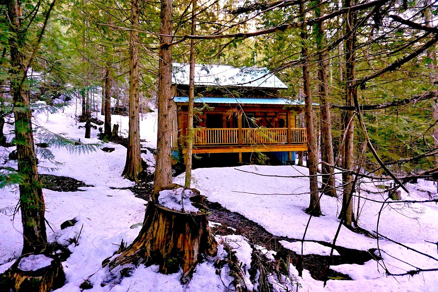 Secluded African-Themed Cabin Rental in a Tranquil 42-Acre Forest near Nelson, British Columbia