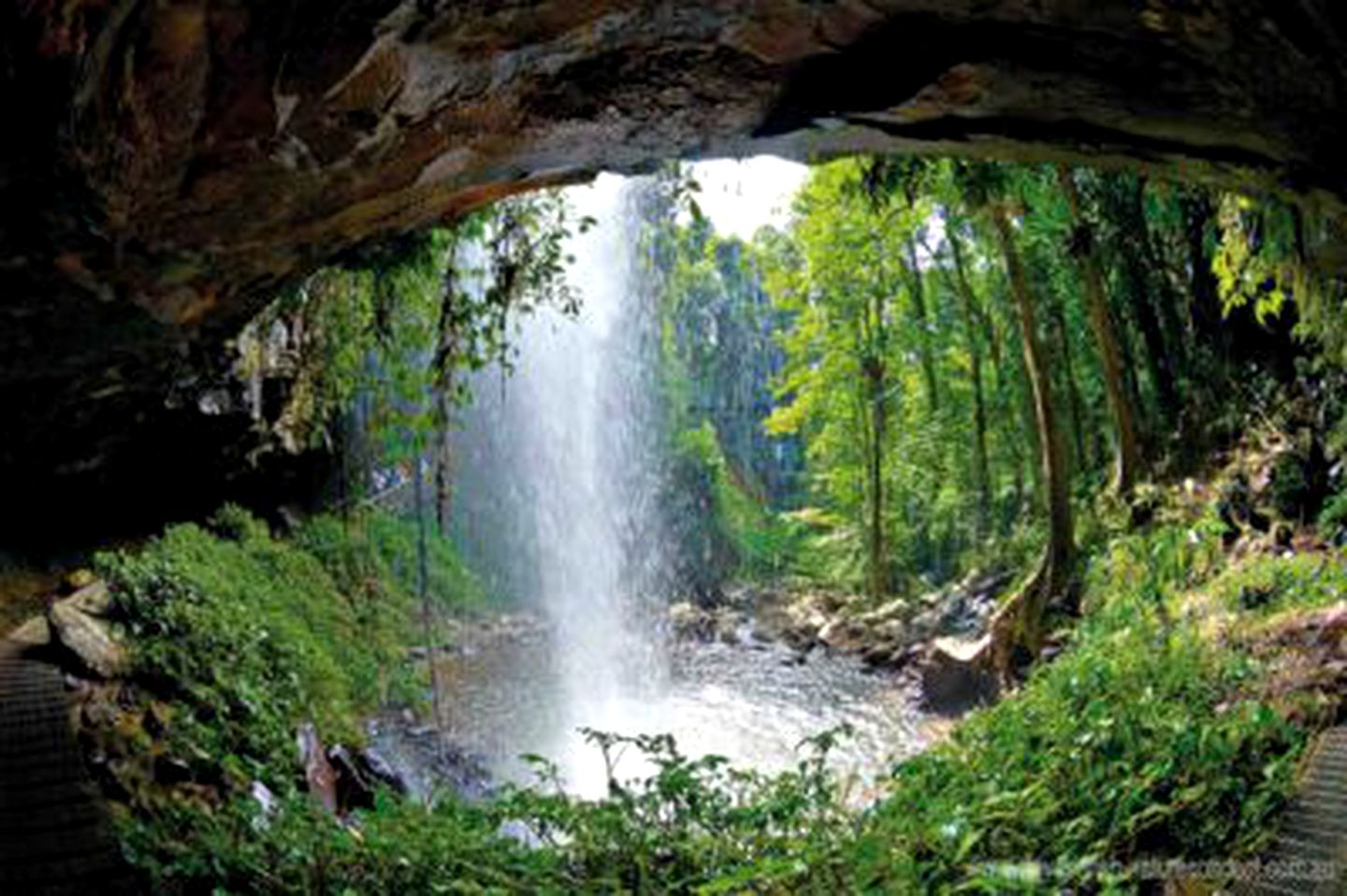 Elegant Cottage Getaway in the Bellingen Valley of New South Wales