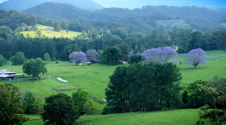 Cottages (Bellingen, New South Wales, Australia)