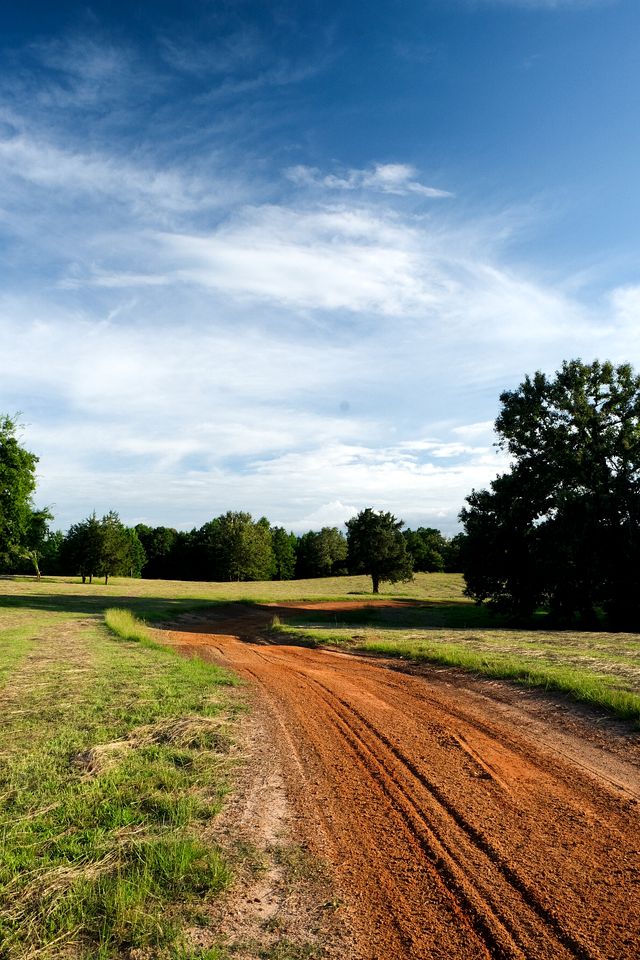 Luxury in the Wild: Family Glamping Cabin Getaway in Texas