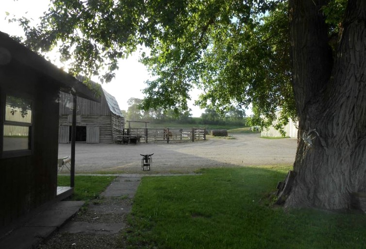 Cabins (Polebridge, Montana, United States)