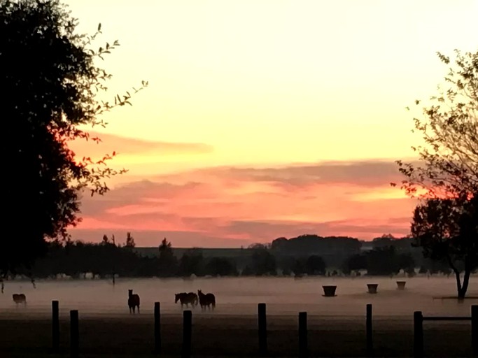 Cabins (Floresville, Texas, United States)