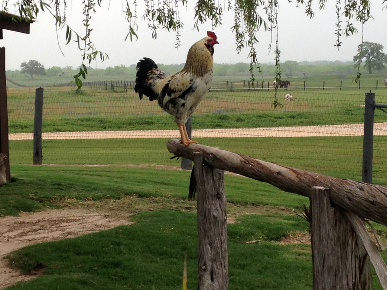 Luxury Vacation Rental with a Private Hot Tub and Pool near San Antonio, Texas