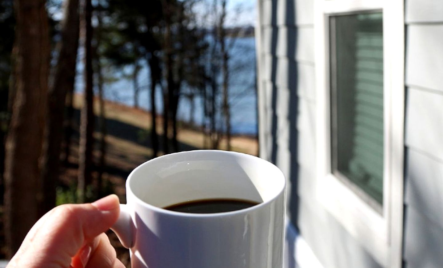 Gorgeous Tiny Cabin Rentals for Couples near Lake Wylie, North Carolina
