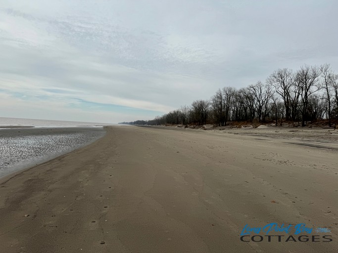Cottages (Canada, Long Point, Ontario)