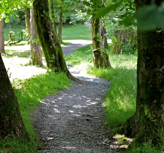 Yurts (Ambleside, England, United Kingdom)