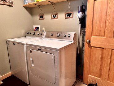 undefined photo 4