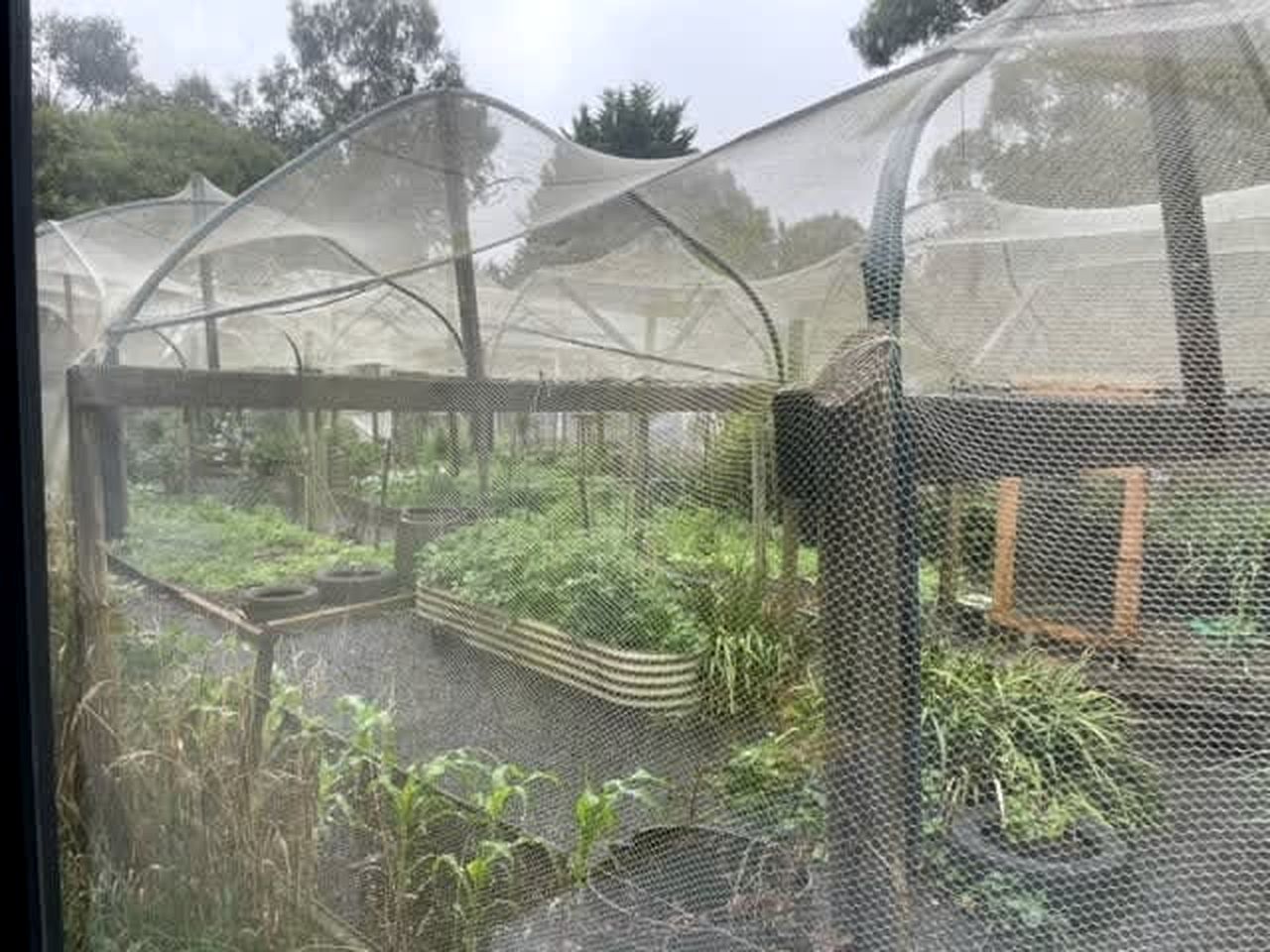 Comfy Tiny House Surrounded by Nature in Victoria