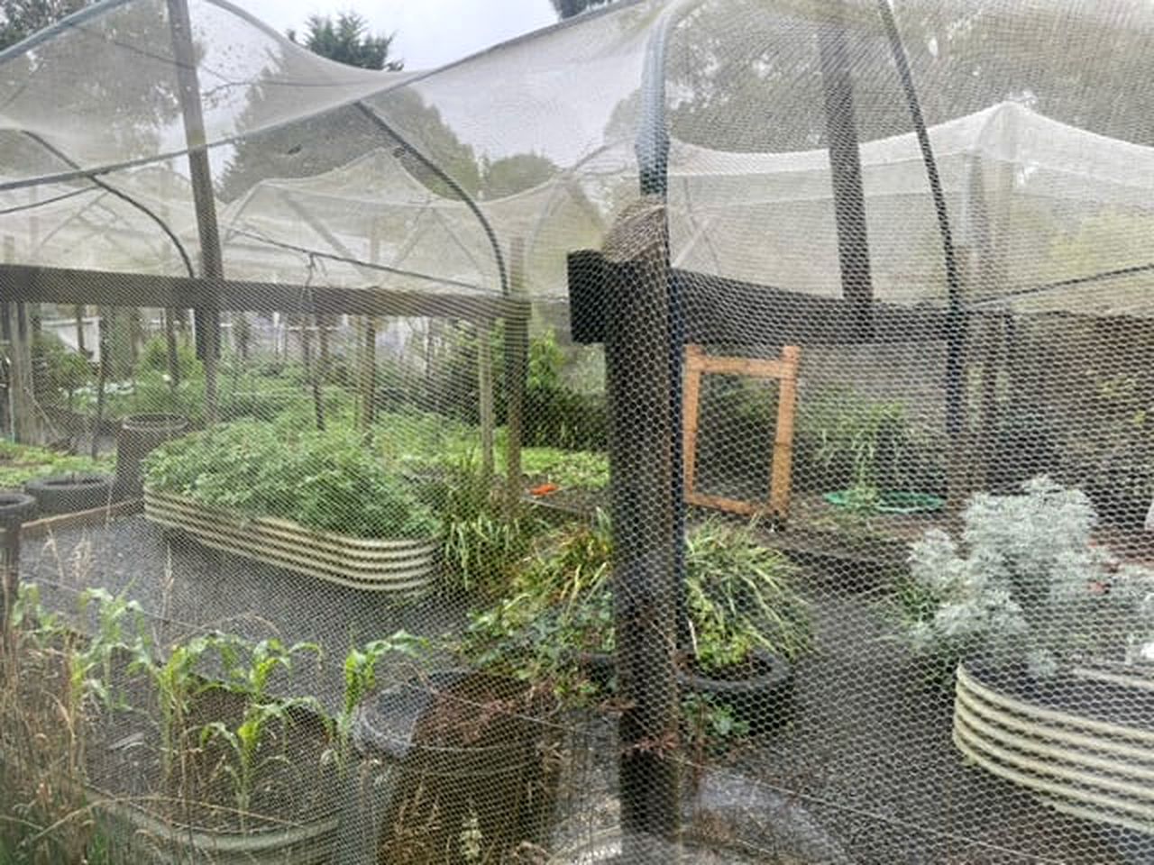 Secluded Tiny House with Picnic Space in Daylesford, Victoria