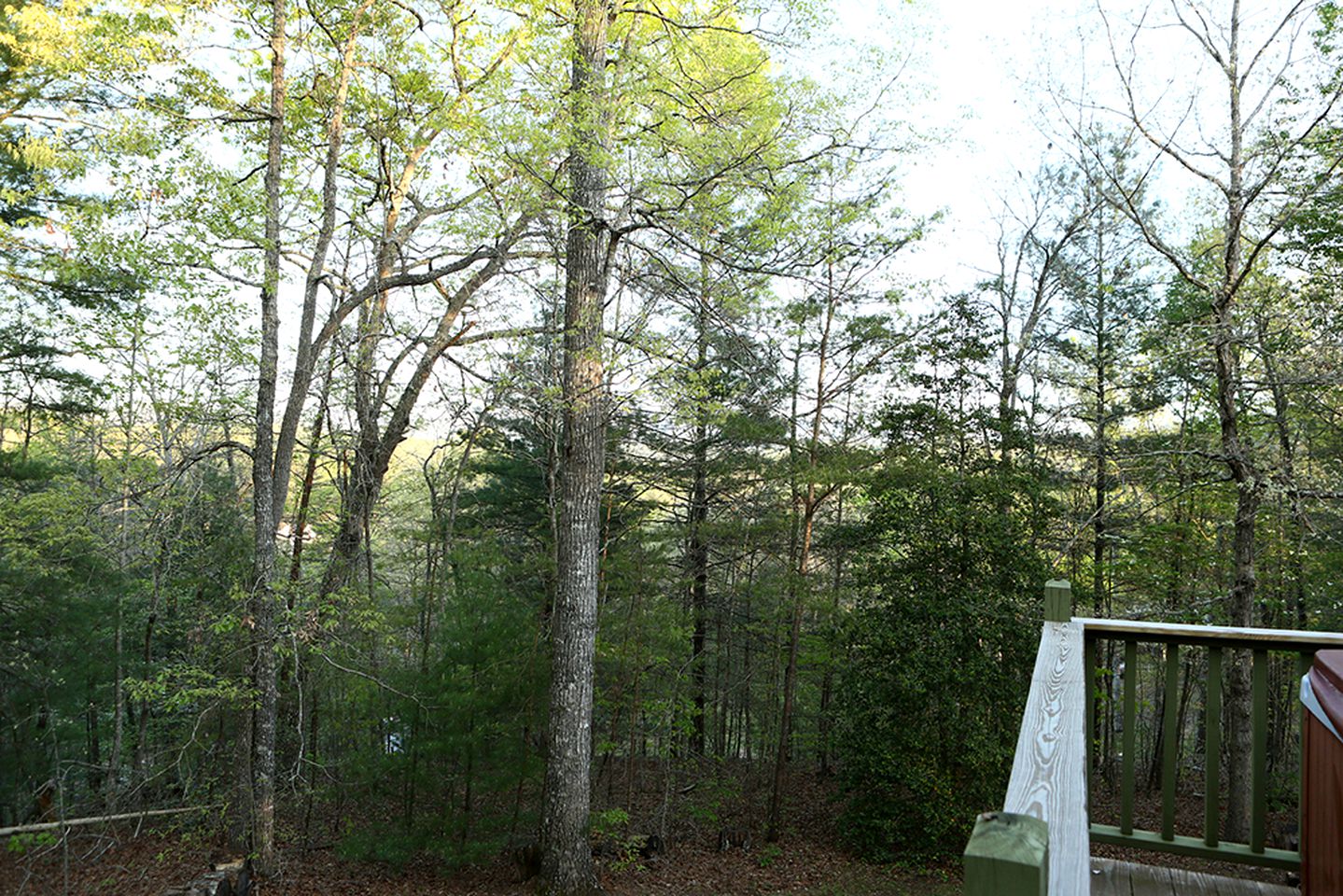 Quiet Cabin with Fire Pit and Hot Tub in the Great Smoky Mountains of North Carolina