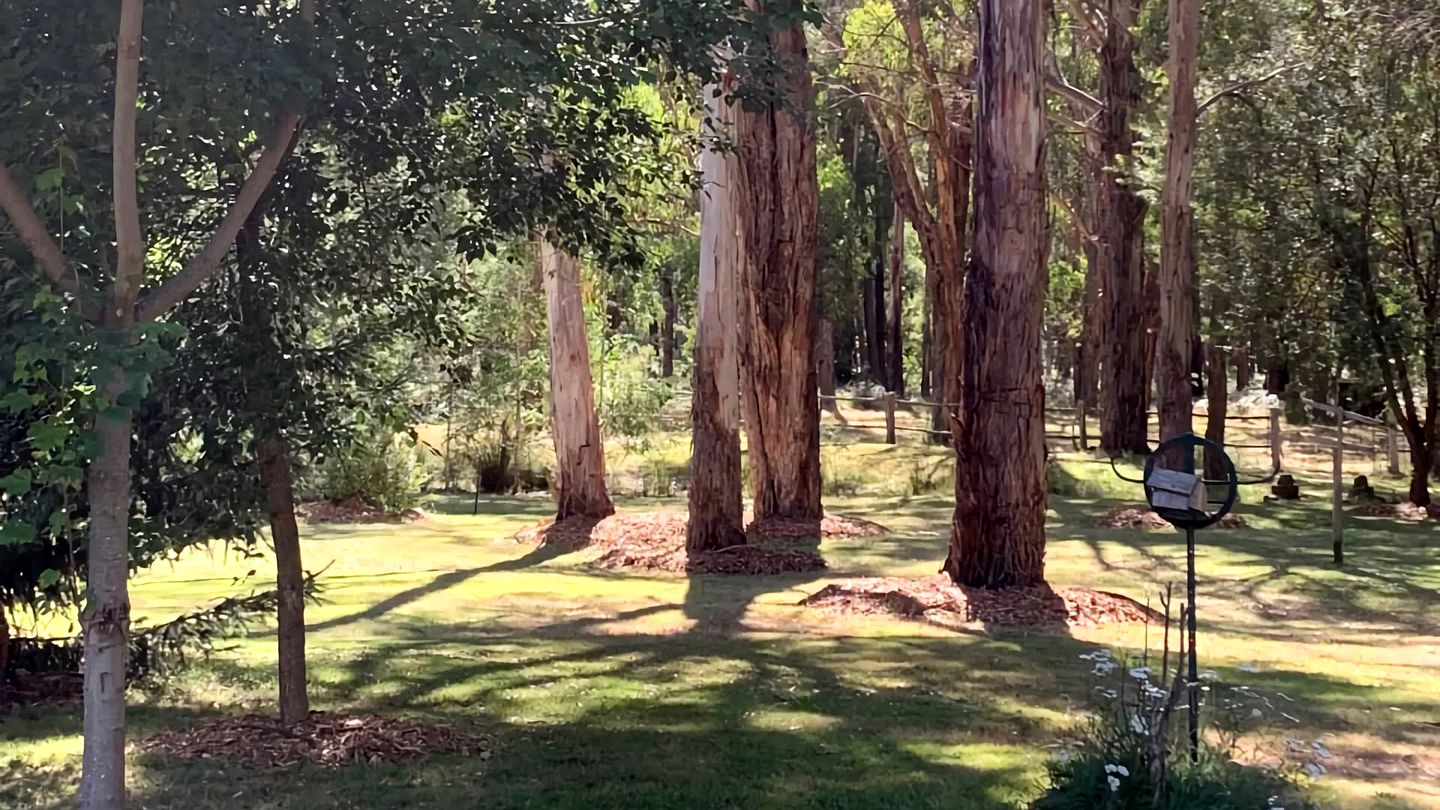 Stunning, Secluded Cottage with Fireplace in Wheatsheaf, Victoria