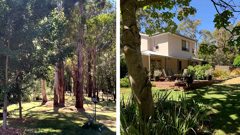 Cottages (Australia, Wheatsheaf, Victoria)