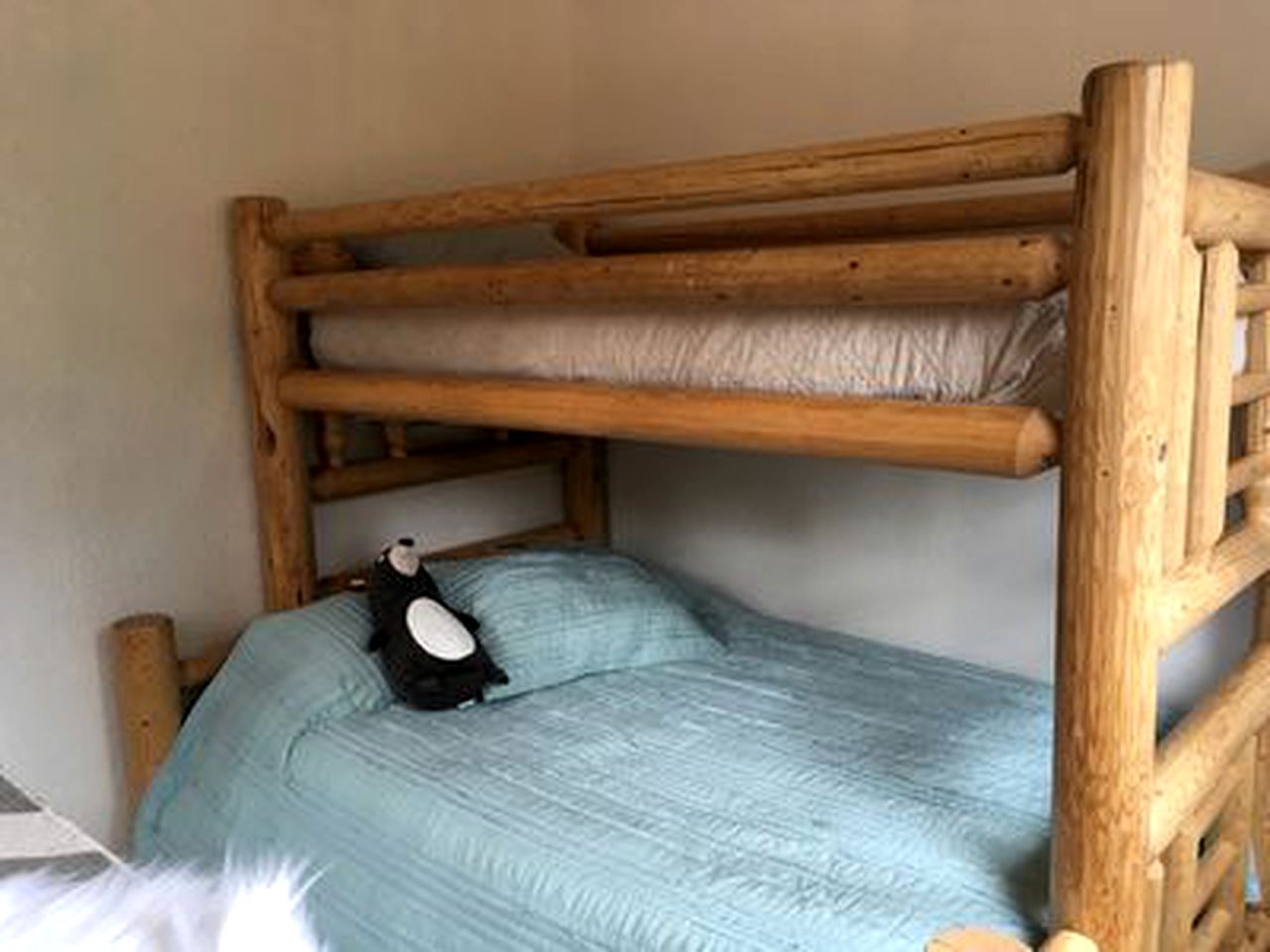 Secluded Cabin on the Edge of Lost Creek Wilderness in Bailey, Colorado