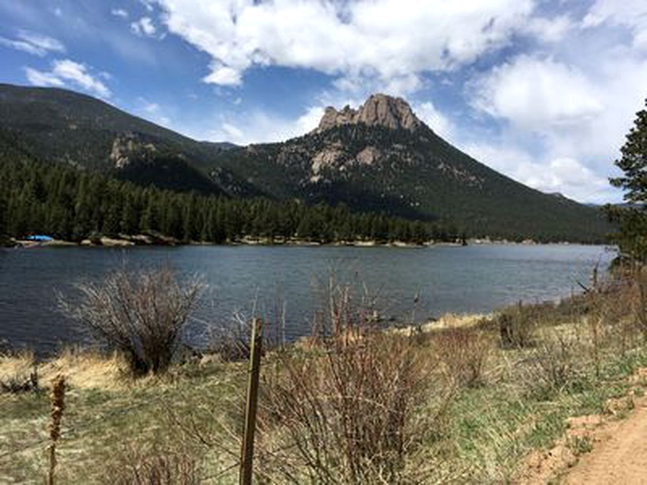Secluded Cabin on the Edge of Lost Creek Wilderness in Bailey, Colorado