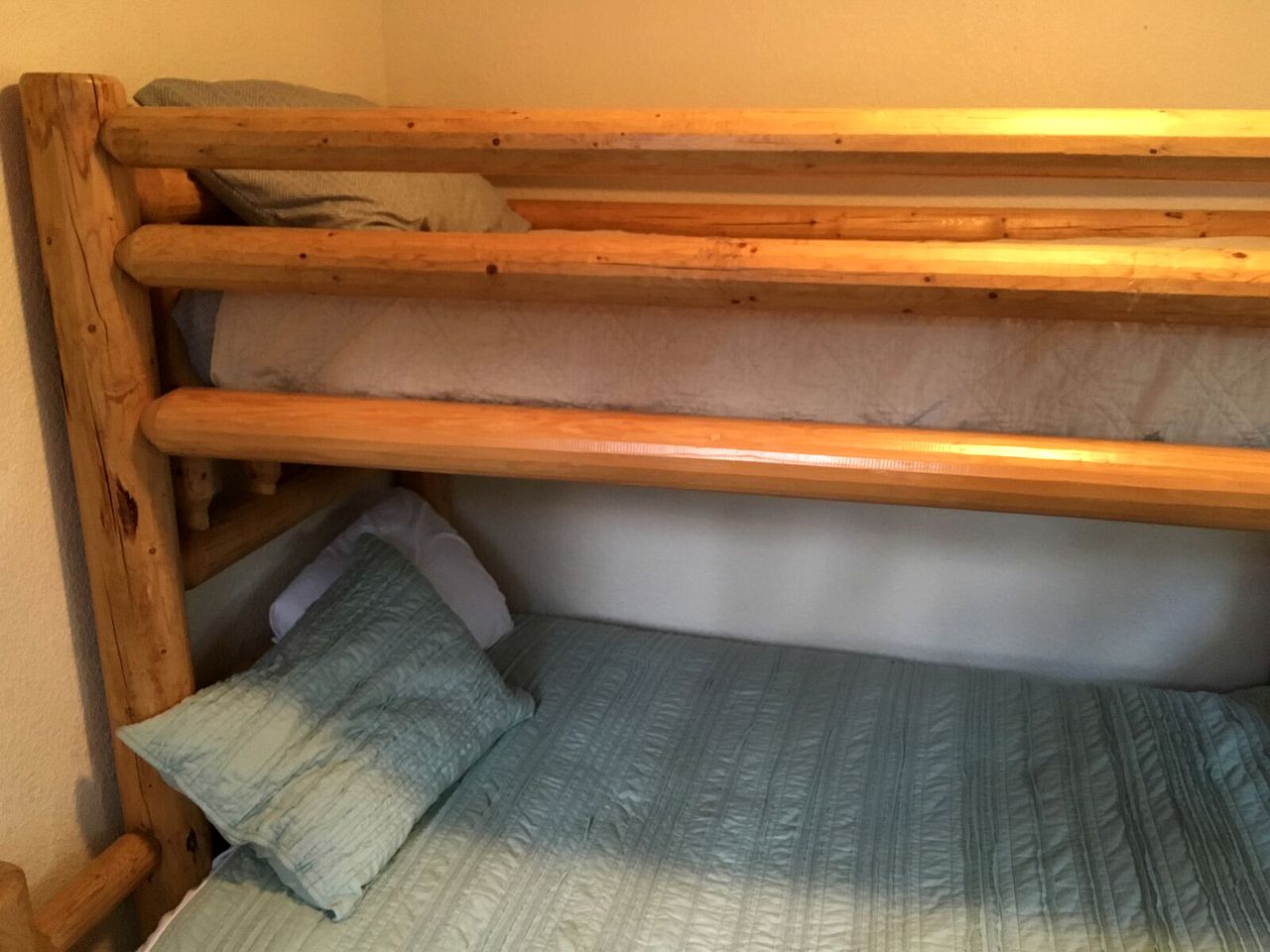 Secluded Cabin on the Edge of Lost Creek Wilderness in Bailey, Colorado