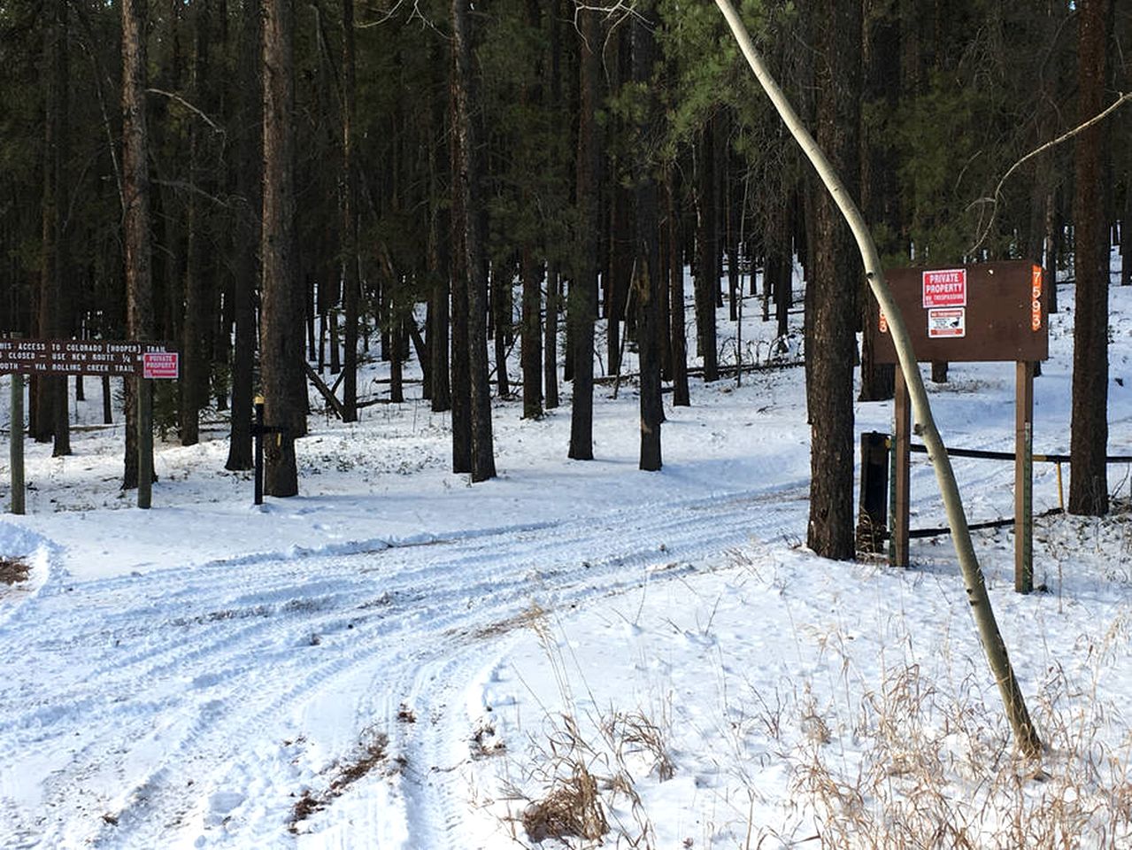 Secluded Cabin on the Edge of Lost Creek Wilderness in Bailey, Colorado