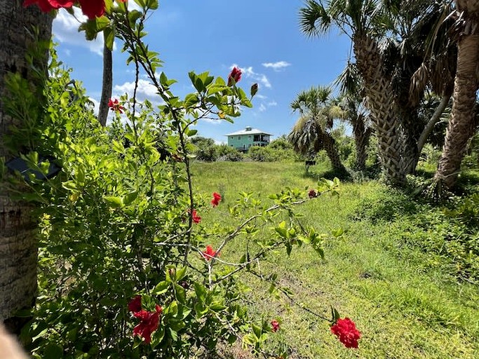 Vacation Rentals (United States of America, Placida, Florida)