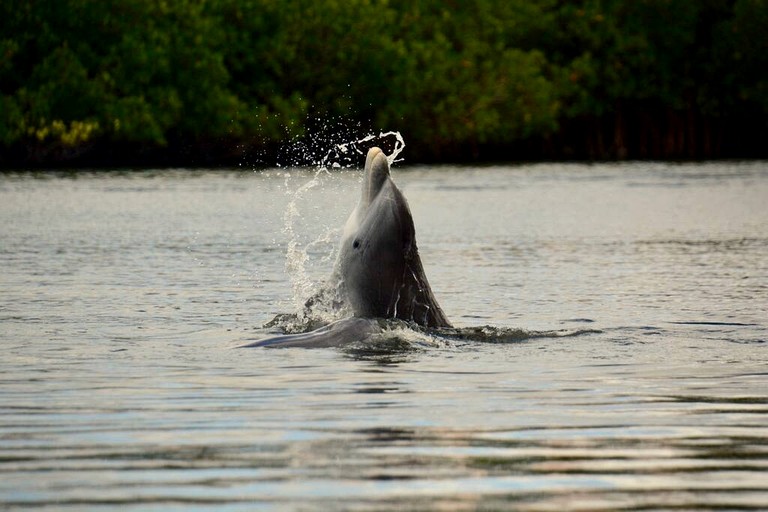 Vacation Rentals (United States of America, Placida, Florida)