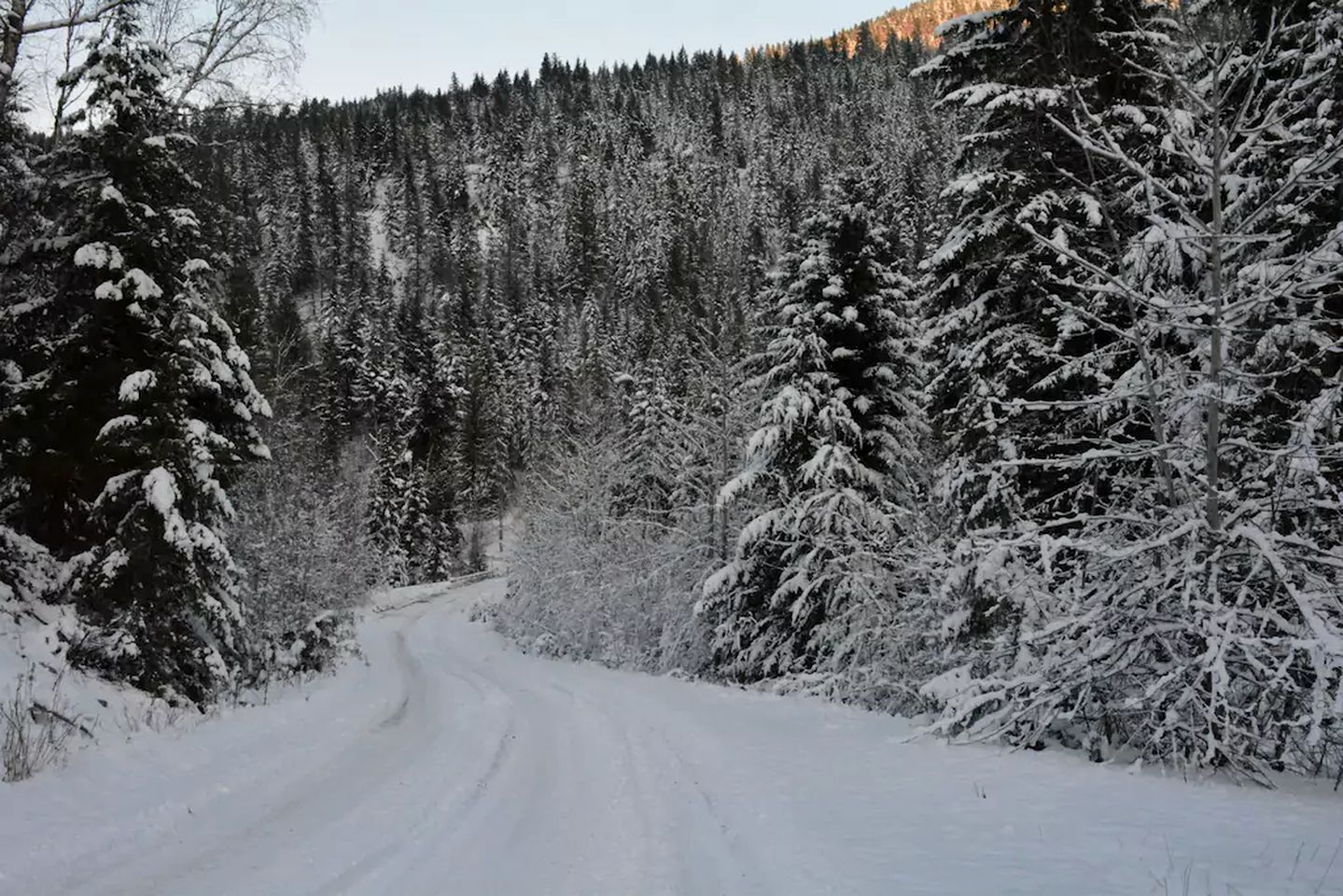 Luxury Log Cabin along Louis Creek in Kamloops, British Columbia